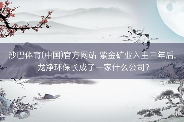 沙巴体育(中国)官方网站 紫金矿业入主三年后， 龙净环保长成了一家什么公司?