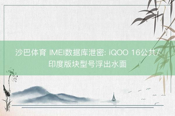 沙巴体育 IMEI数据库泄密: iQOO 16公共/印度版块型号浮出水面