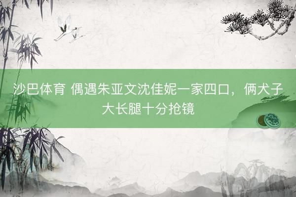 沙巴体育 偶遇朱亚文沈佳妮一家四口，俩犬子大长腿十分抢镜