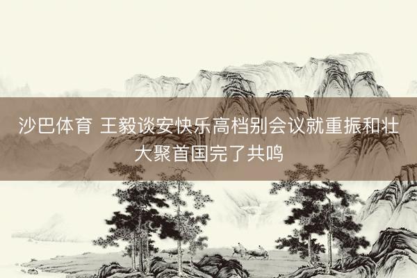 沙巴体育 王毅谈安快乐高档别会议就重振和壮大聚首国完了共鸣